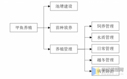 我国池塘养殖过程（我国池塘养殖过程包括）