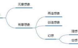 创造想象的过程（创造想象的过程是什么）