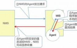 snmp协议的运行过程（简述snmp协议的主要功能作用）