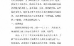 实践活动准备过程（实践活动准备过程,总结反思作文怎么写）