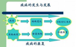 一次疾病过程（一个疾病过程）