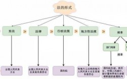 法的运行过程（法的运行过程主要包括以下哪几个主要环节）