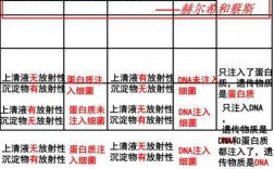 噬菌体侵染细菌实验过程（噬菌体侵染细菌实验思路,过程,结论）