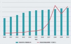 风投过程（风投的成功率有多高?）