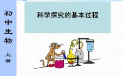 科学探究过程不包括（科学探究的过程可以分为什么）