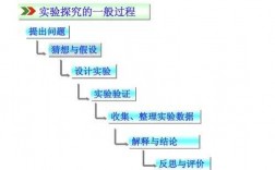 对实验过程的干（对实验过程的干预方法）