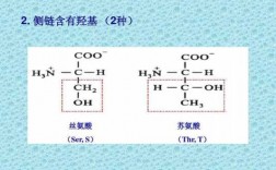 丝氨酸解离过程（丝氨酸解离方程式）