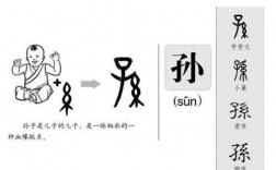 孙演变过程（孙字的演变过程从甲古文到楷书）