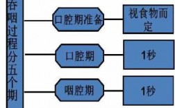 整个吞咽的过程分为（整个吞咽的过程分为几个阶段）