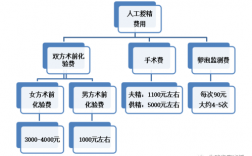 妇幼人工授精过程（人工授精费用表）