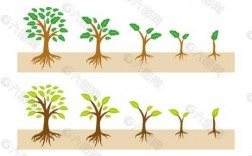 画出大树生长的过程（画出大树生长的过程图片）