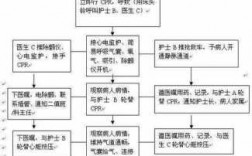 参与抢救过程（参与抢救的角色作用及体会）