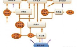 神经系统的进化过程（神经系统的进化和脑的产生）