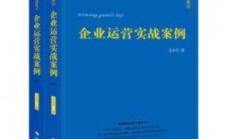 企业运作过程案例（企业运营实战案例）