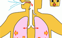吸气呼气的过程视频（吸气呼气的过程示意动态图）