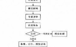 高新申请过程描述（高新申报业务流程）