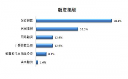 融资过程出现的问题（融资方面面临的问题）