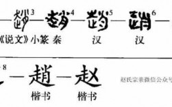 赵字的演变过程图（赵字的演变过程图解）