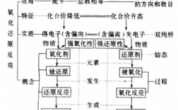 氧化还原过程概念（氧化还原的基本原理）