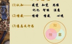 认识情感意志过程（认识情感意志过程是什么）