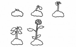 植物绘画过程（植物绘画一幅画）