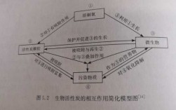 生物碳固定过程（生物炭的稳定性）