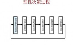 决策的的类型过程（决策类型和决策过程）