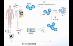 dcca治疗的过程（dc疗法）