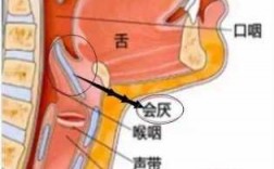 咽喉活动过程（咽喉活动过程中疼痛）