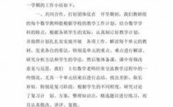 数学教学研讨过程（数学教研讨论的总结）