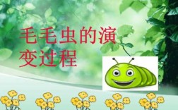 小毛虫蜕变的过程（小毛虫蜕变过程怎么写）