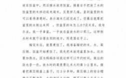 关于煮饭过程的作文（关于煮饭过程的作文300字）