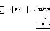 果醋的制作过程（果醋制作过程中应连续充入无菌空气）