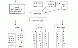 诊疗疾病基本过程（疾病的诊疗过程）