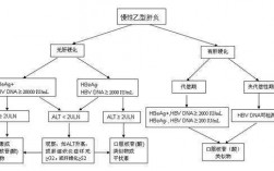 病毒性肝炎的治疗过程（病毒性肝炎的治疗原则有哪些）