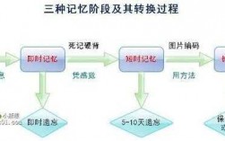 记忆过程有几个环节（记忆过程有几个环节?）