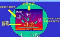 阐述土壤的形成过程（总结土壤的形成过程）