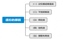 影响遗忘过程的体现（影响遗忘的因素及其规律）