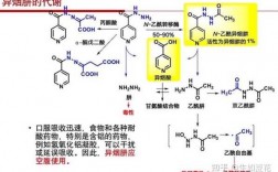 异烟肼代谢过程（异烟肼代谢个体有快慢差异吗）