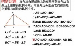 射影定理的证明过程（射影定理求证）