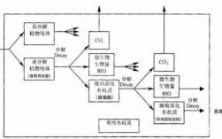 有机质转化的过程（有机质形成过程）