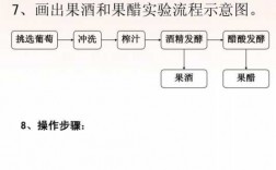 果醋制作的过程（果醋制作的过程视频）