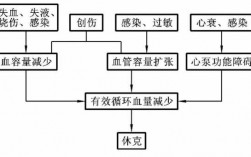 休克过程必经dic阶段（休克发生的环节）