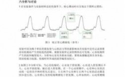 蛙心搏动过程（蛙心搏动顺序肉眼观察结果）