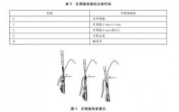 附着过程说法正确（什么是附着作用）