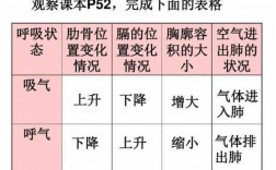 空气进入肺的过程（空气进出肺的基本原理）