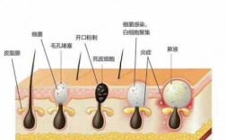 痘痘消失的过程（痘痘消失的过程图片）