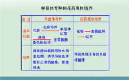 单倍体离体培养过程（单倍体培养技术要点）