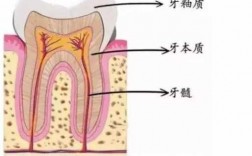 牙齿病变的过程（牙齿有病变是怎么回事）