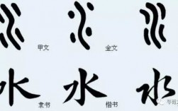 水字的演变过程化过程（水字的演变顺序是什么）